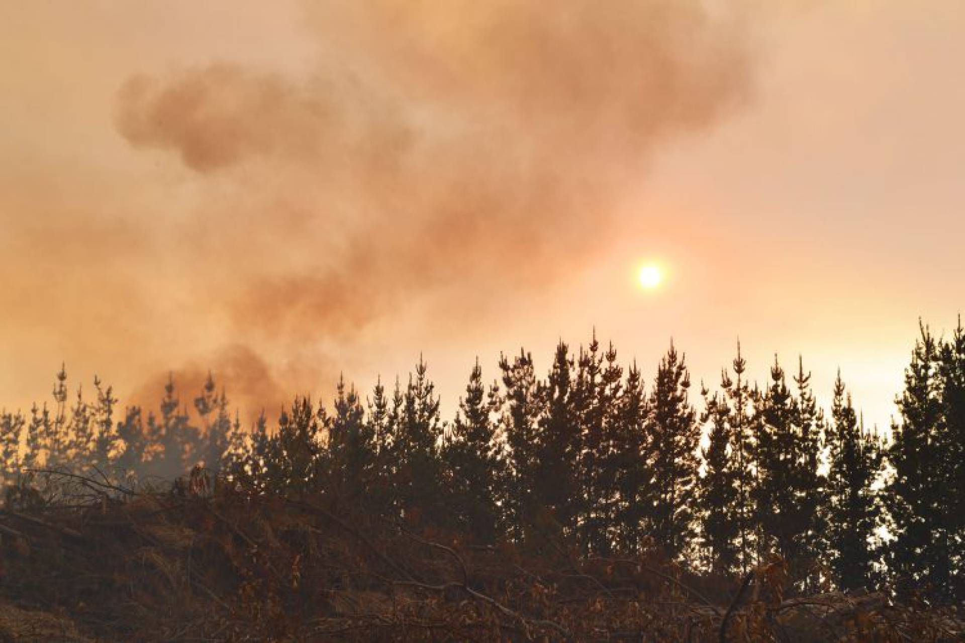Presidente Boric decreta Estado de Emergencia Preventivo en Ñuble por incendios forestales