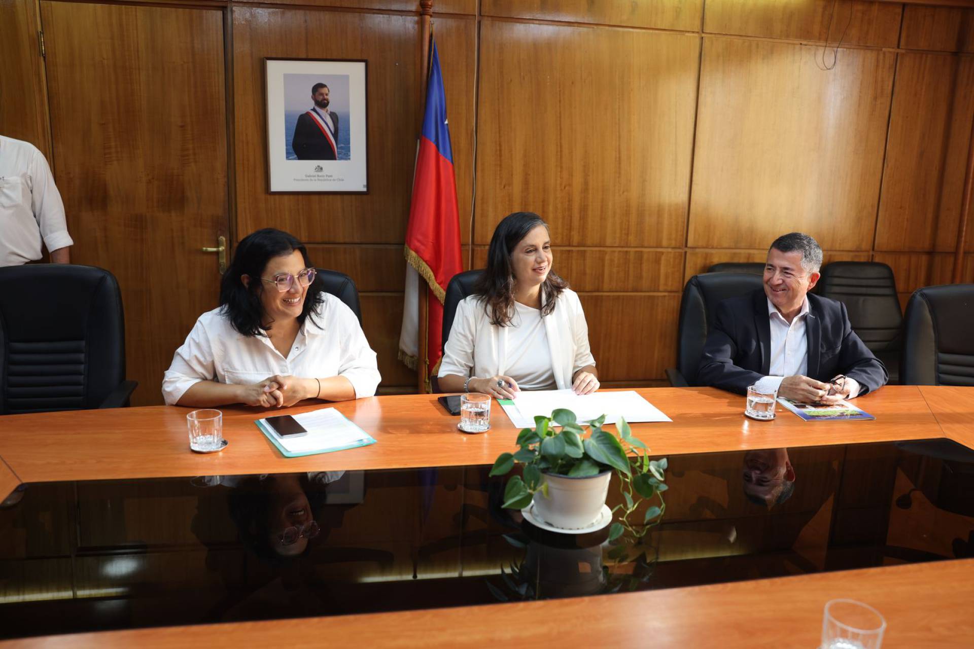 Apertura de mercado: Frutas chilenas comenzarán a exportarse a Indonesia