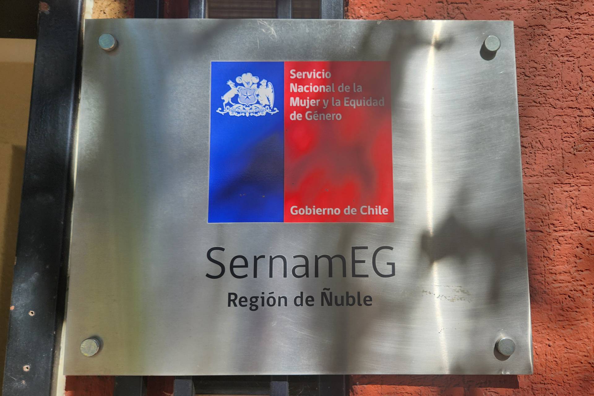 SernamEG, Ministerio Público e INDH buscan anular fallo absolutorio contra excarabineros en Ñuble