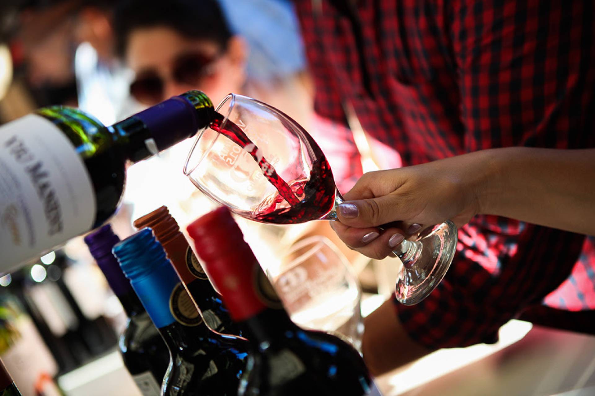 Experto proyecta vendimia 2025 con vinos de  gran calidad pese a menor producción