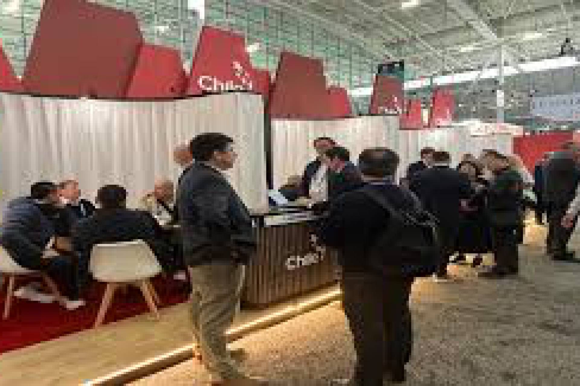 Chile destacará su oferta de pescados y mariscos en la Seafood Expo North America 2025