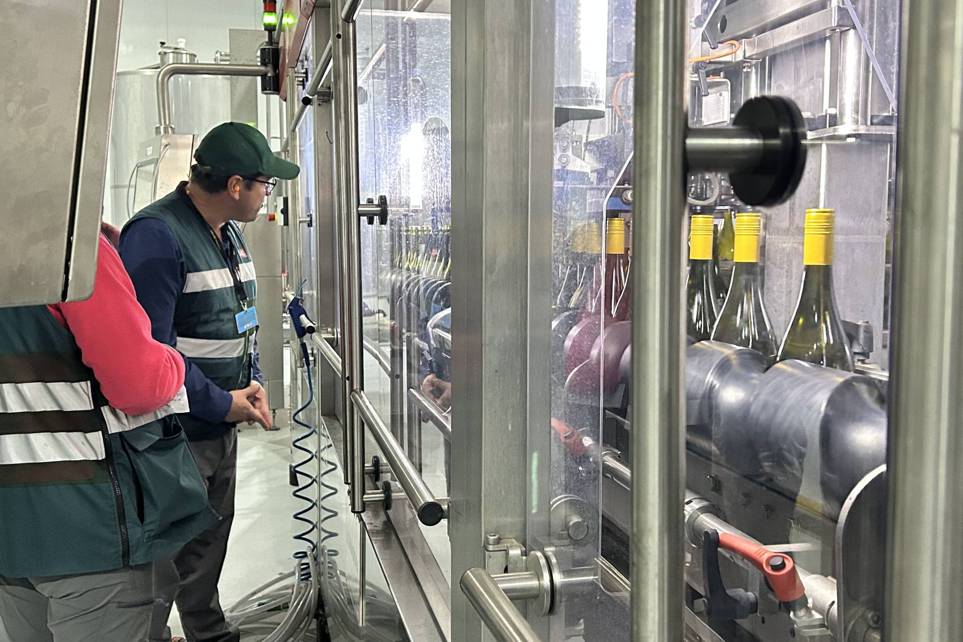 Seremi de Agricultura y SAG Fiscalizan bodega productora de Vino para Evitar falsificación