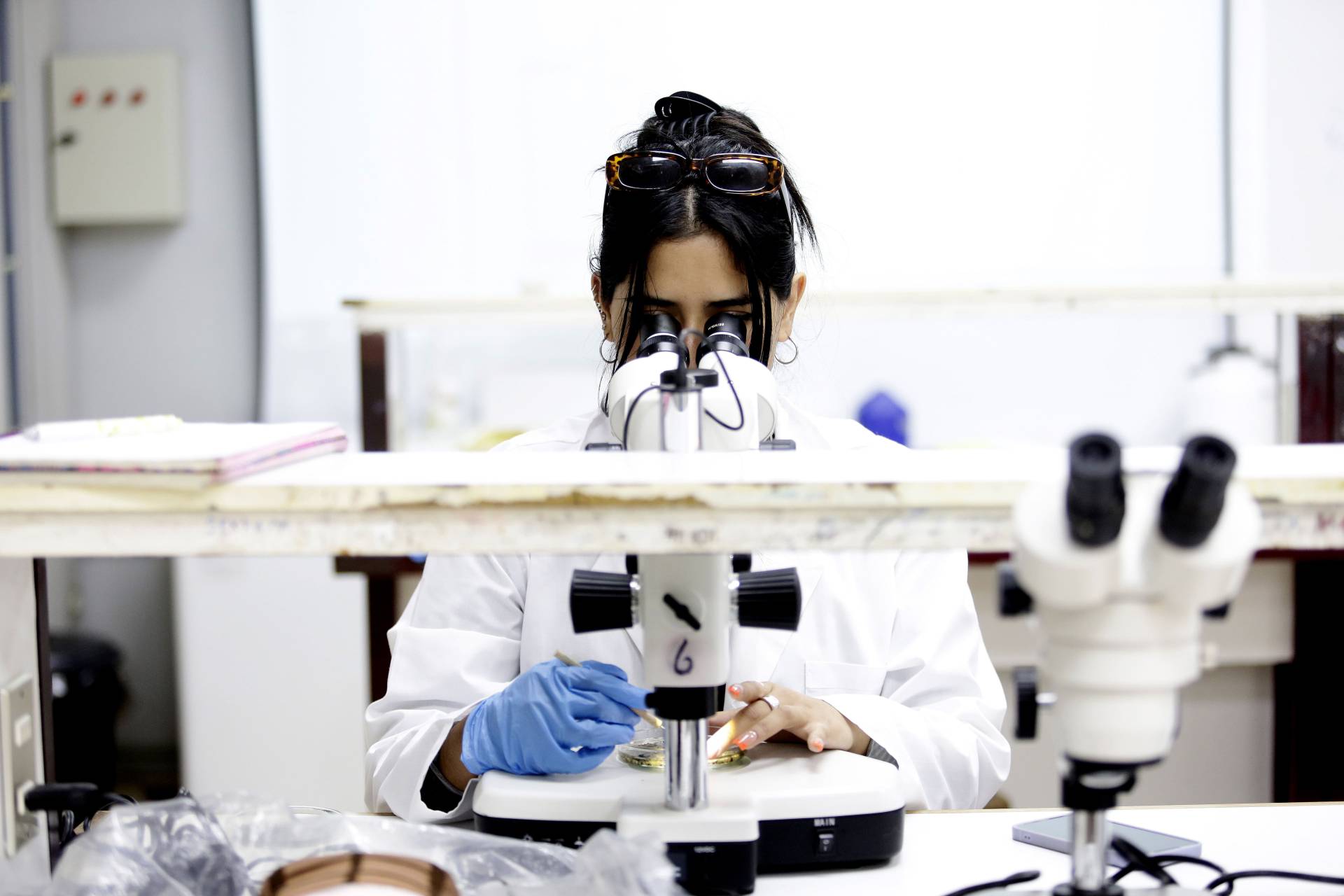 UCSC Mejora su Posición en ranking scimago e Ingresa a nuevas subáreas de Investigación e Innovación