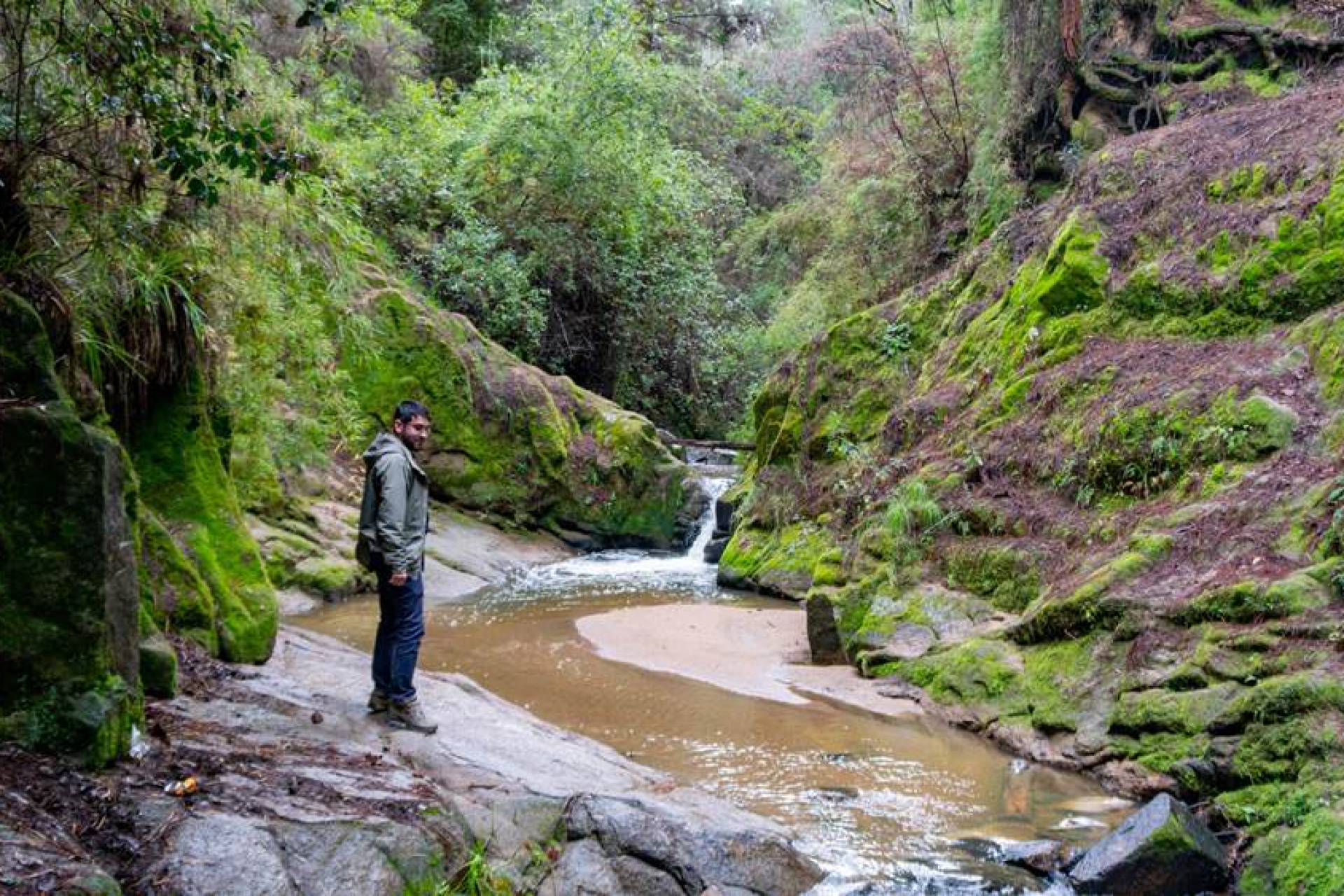 Día Mundial del Agua: Un llamado a la conciencia y la protección de los ecosistemas naturales de Ñuble