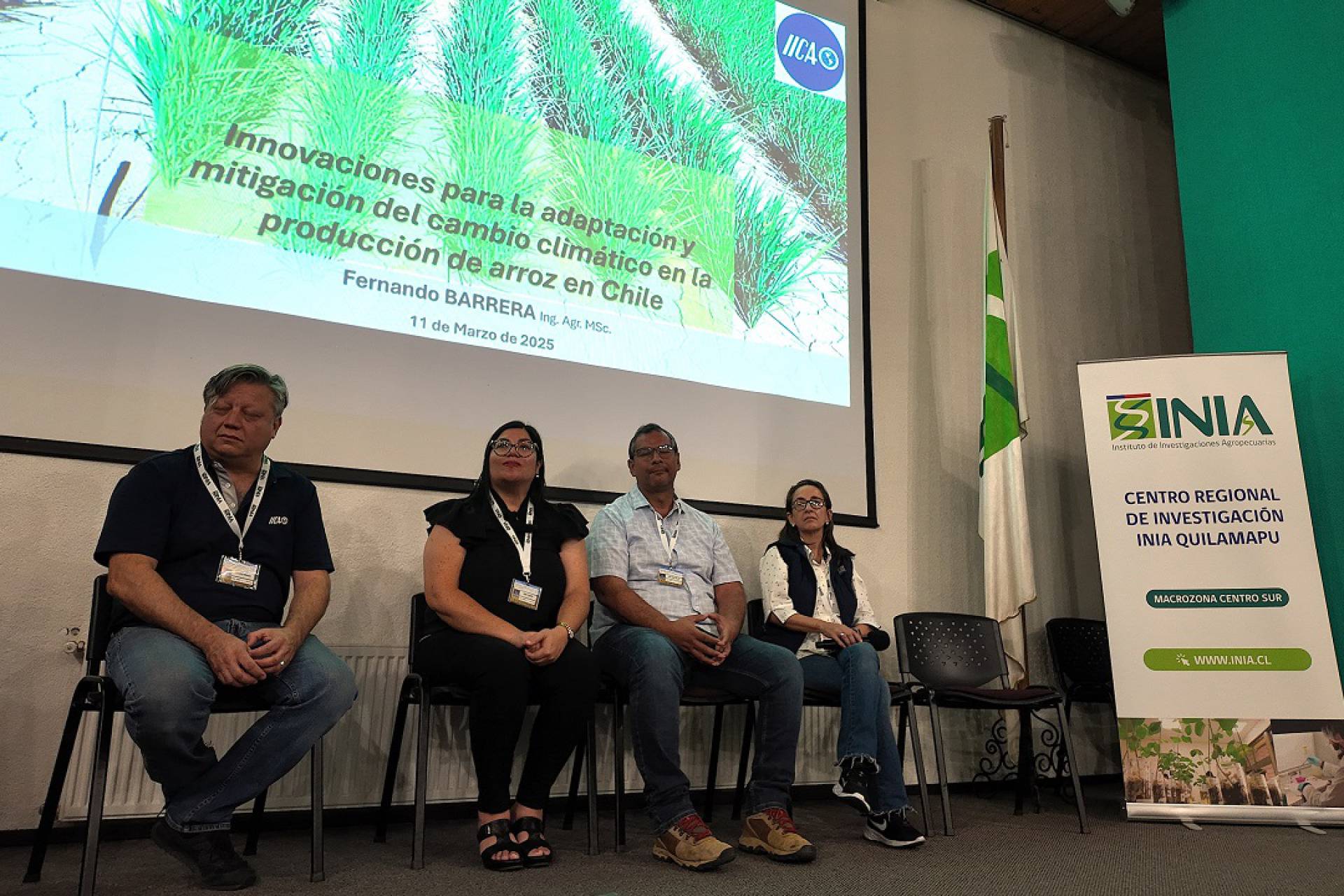 Chillán recibe a investigadores de seis países para promover cultivo de arroz bajo en emisiones