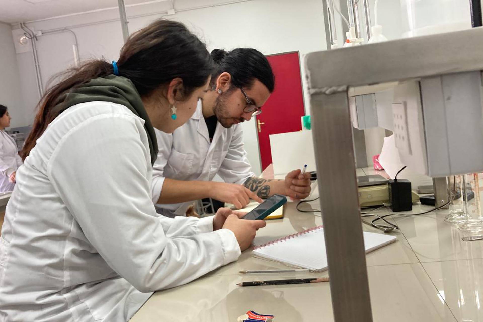 Red Innova Sur-Sur adjudica proyectos de investigación en ciencia aplicada para equipos interuniversitarios de Ulagos, Ufro y Umag