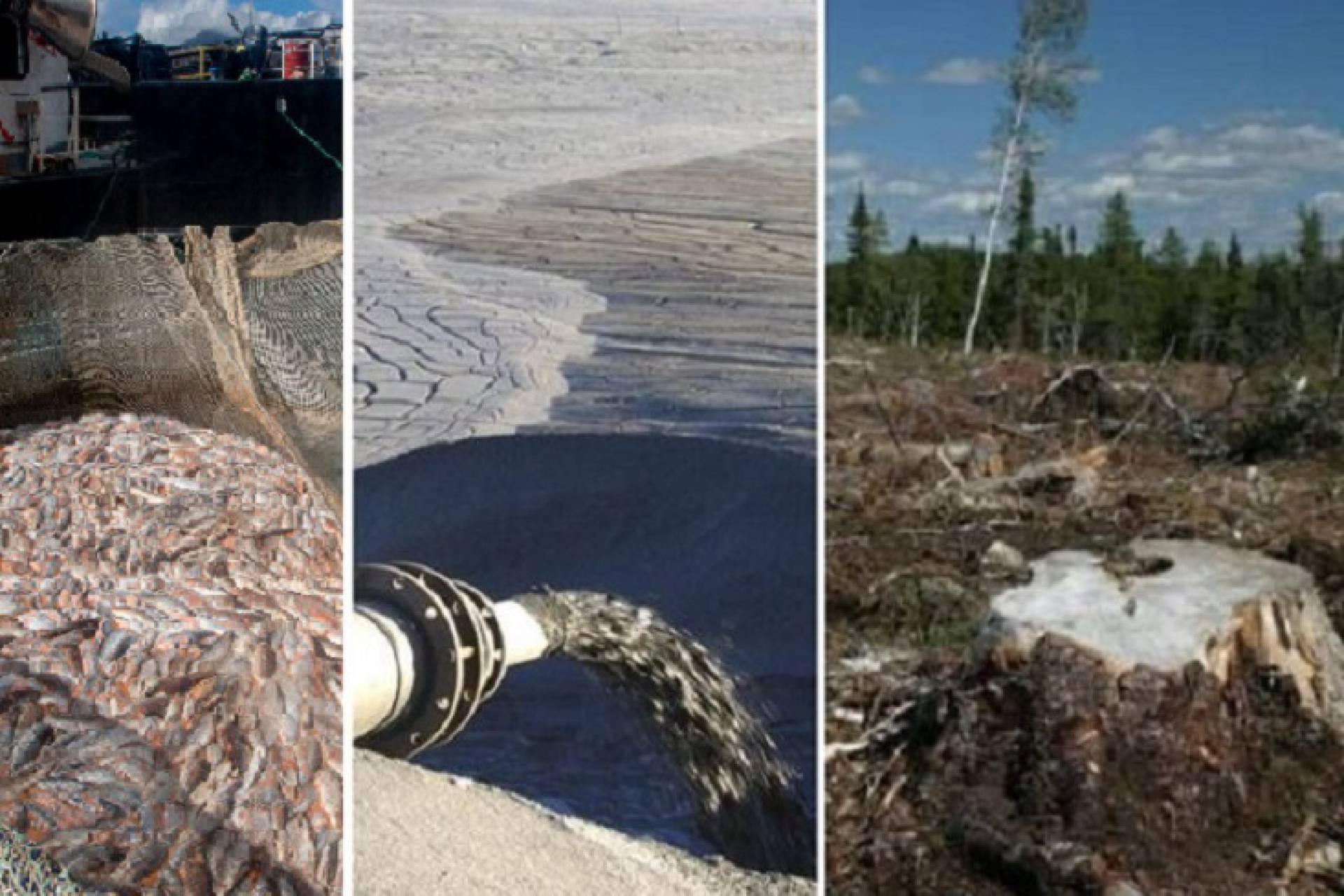 Denuncian que Ley de Permisos Sectoriales favorece industrias extractivas y debilita regulación ambiental