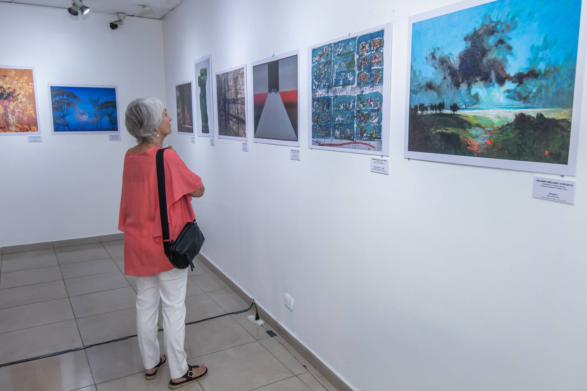 Academia Chilena de Bellas Artes conmemora  sus 60 años con exposición en la UTalca