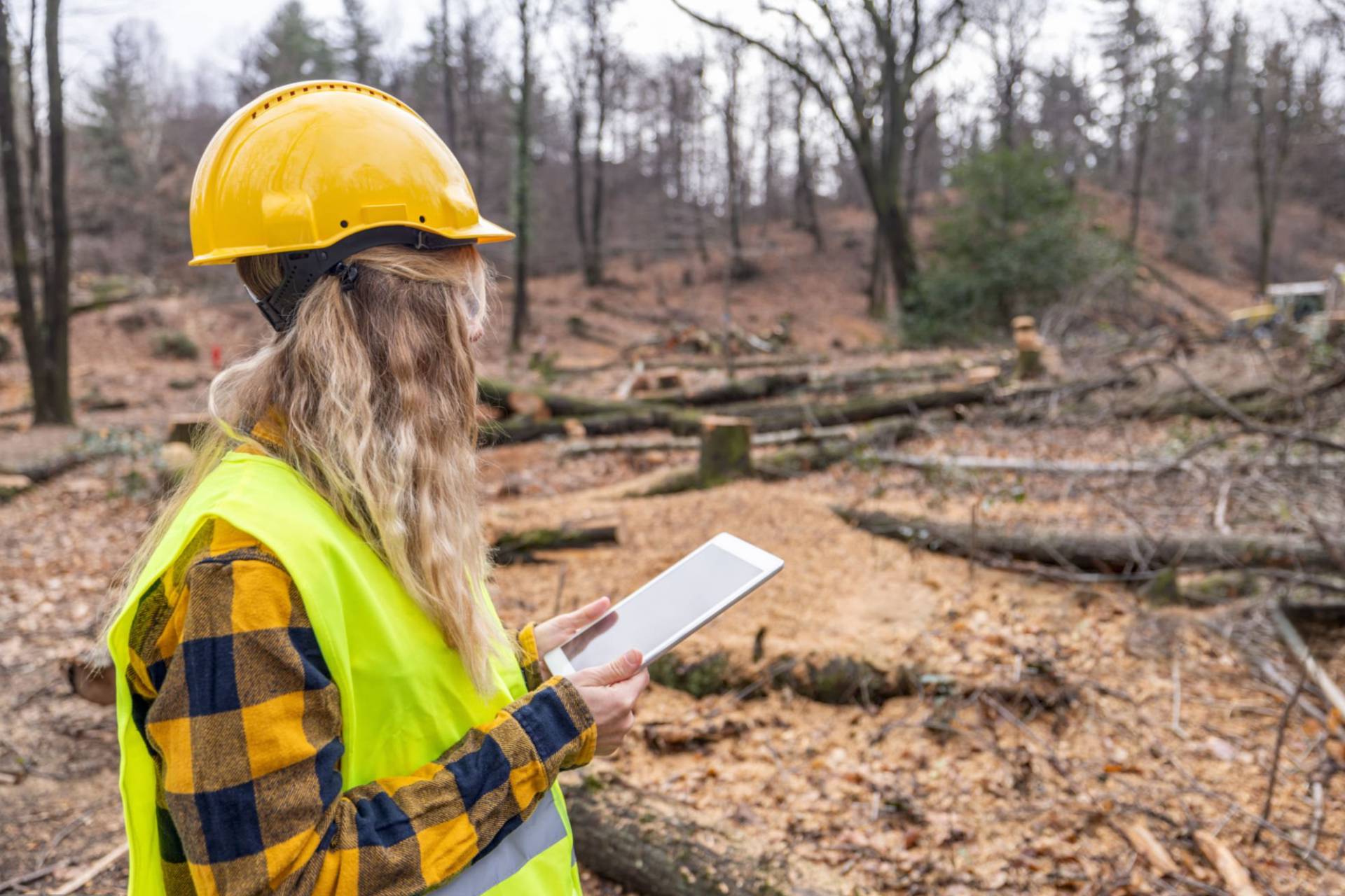 "Gender Analytics": desarrollan app para calcular brecha salarial en el sector forestal