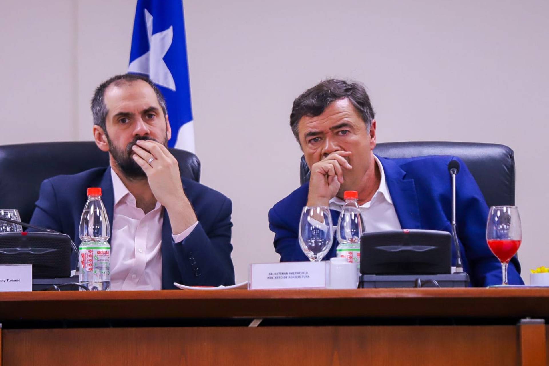 Gobierno y gremios analizan impacto de aranceles de EE.UU. a productos agroalimentarios chilenos
