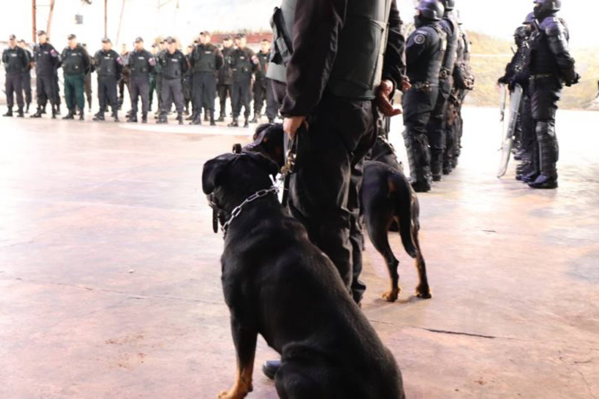Gendarmería realizó gran operativo de seguridad en penal de Chillán