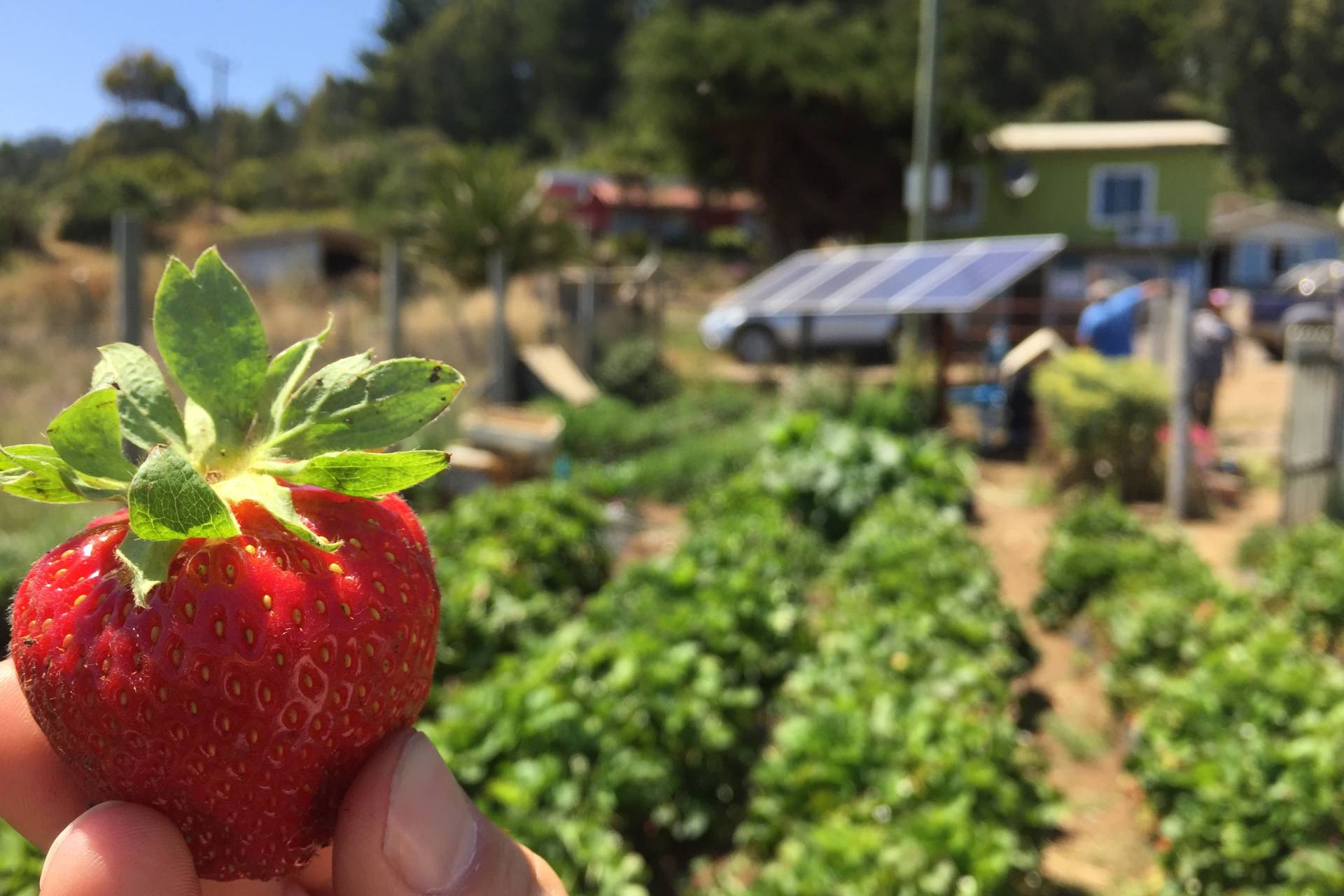 Mujeres del agro acceden a formación técnica en riego sustentable y energía limpia