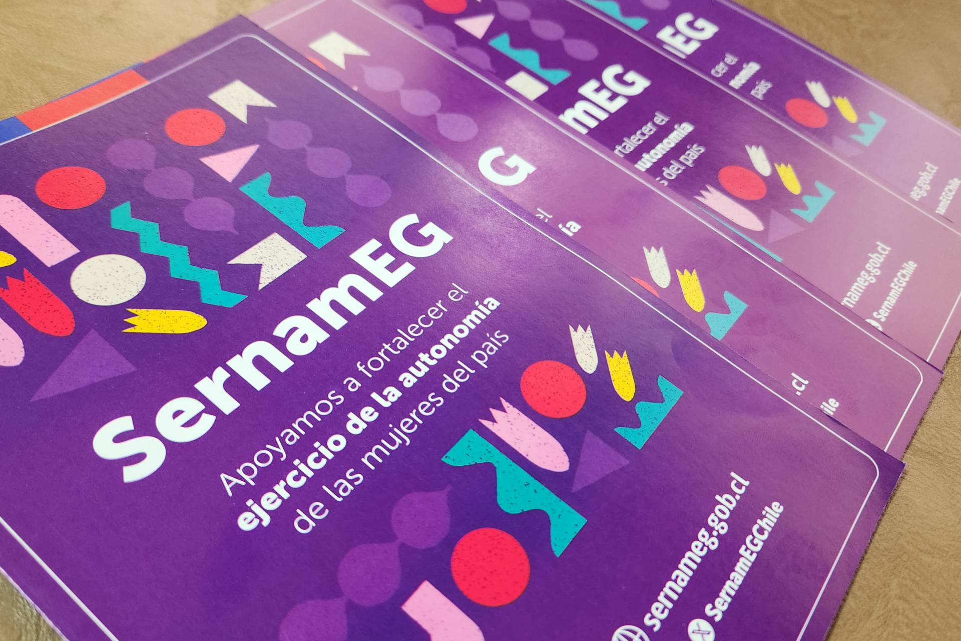 Fondo para la Equidad de Género 2025 ofrece hasta tres millones para iniciativas en Ñuble