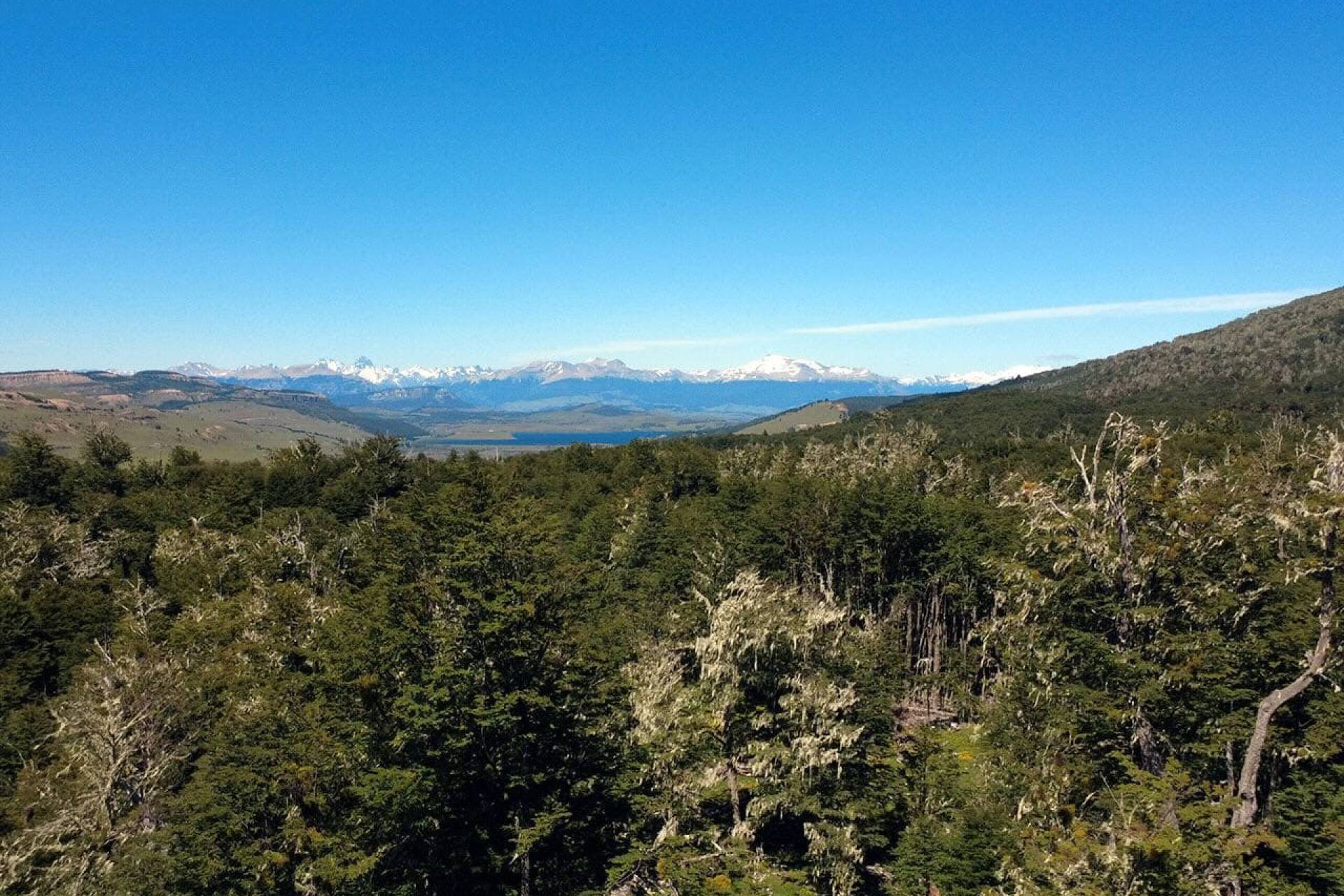 Invertir en parcelas: la nueva forma de ser propietario en Chile