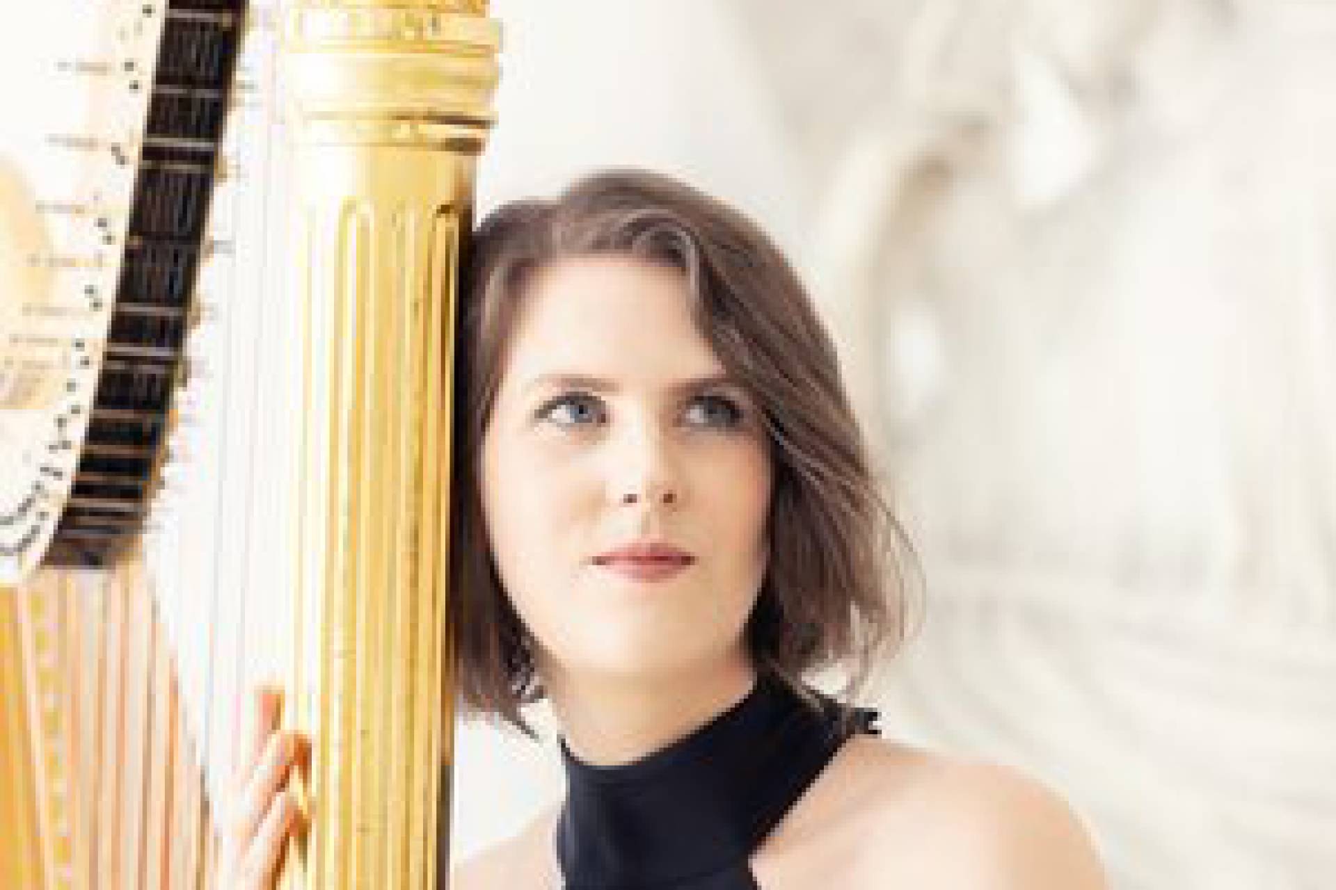 Con invitada internacional, la Orquesta Clásica del Maule prepara nuevo concierto
