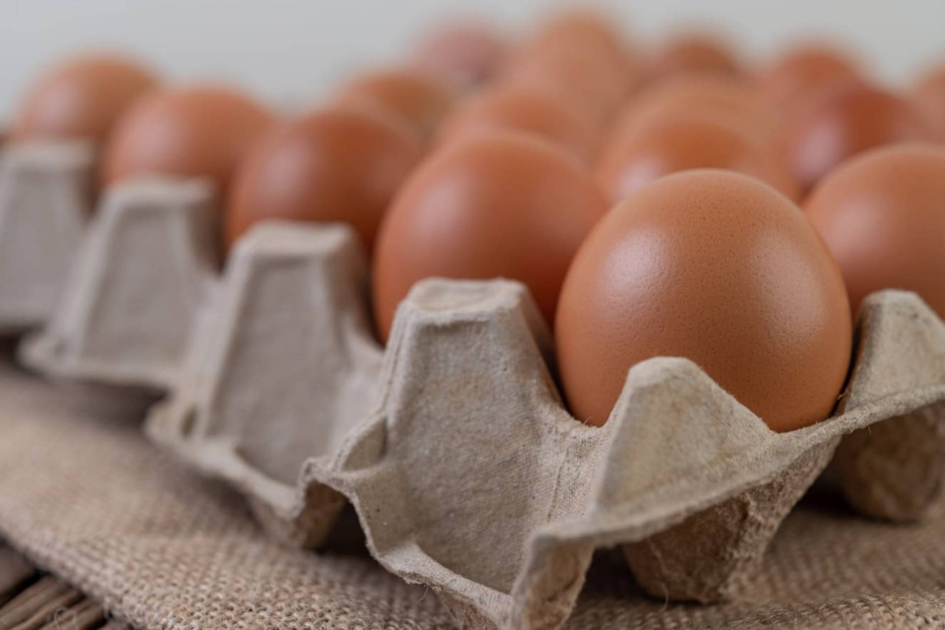 Alza en precio de los huevos impulsa búsqueda de alternativas ricas en proteínas y aminoácidos