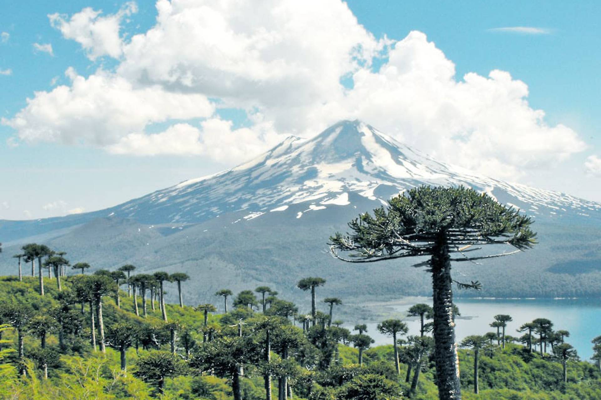 Lanzan proyecto para desarrollar Hidrógeno Verde en La Araucanía