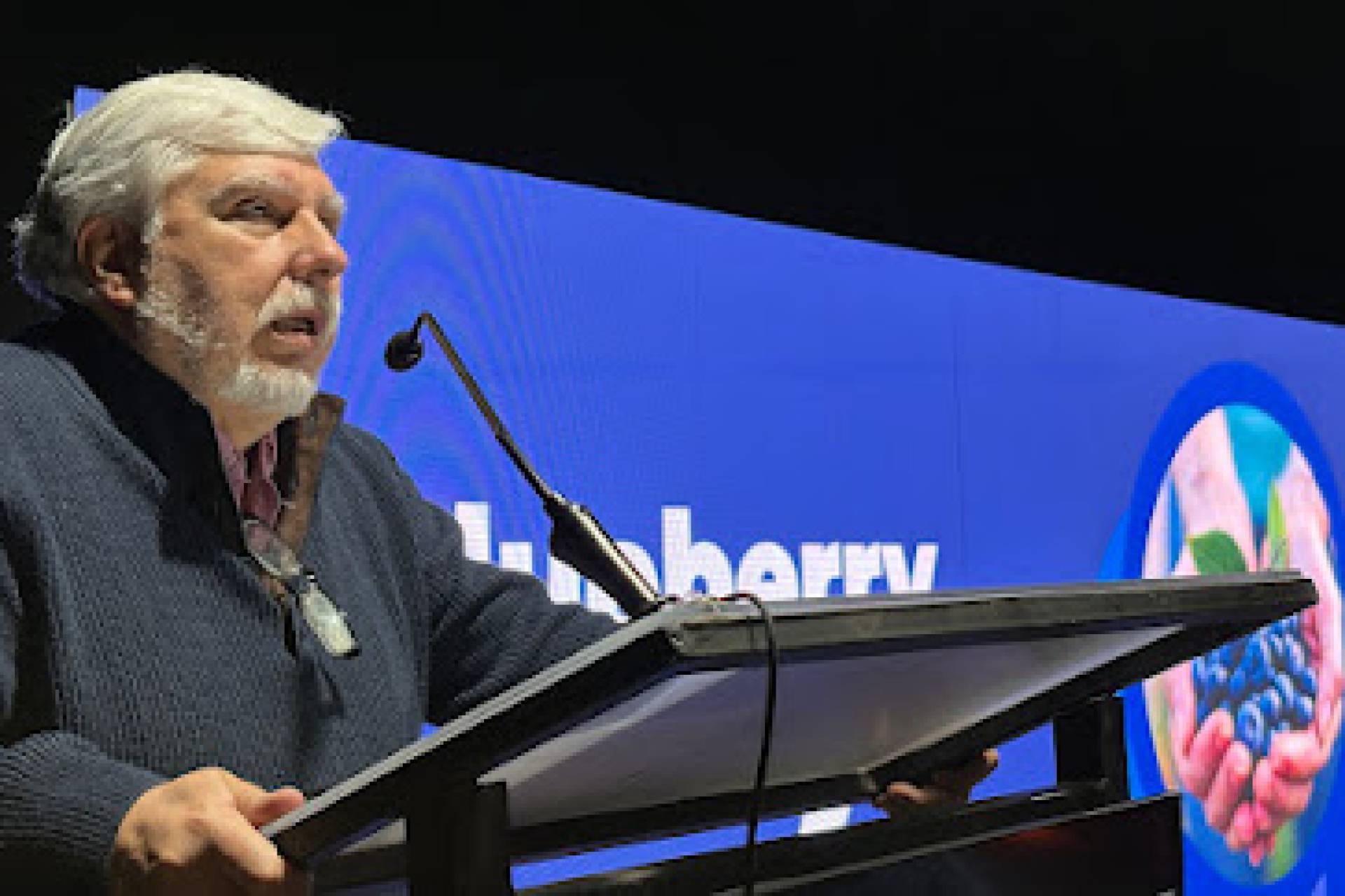 Industria del arándano chileno da inicio a temporada 2025-2026