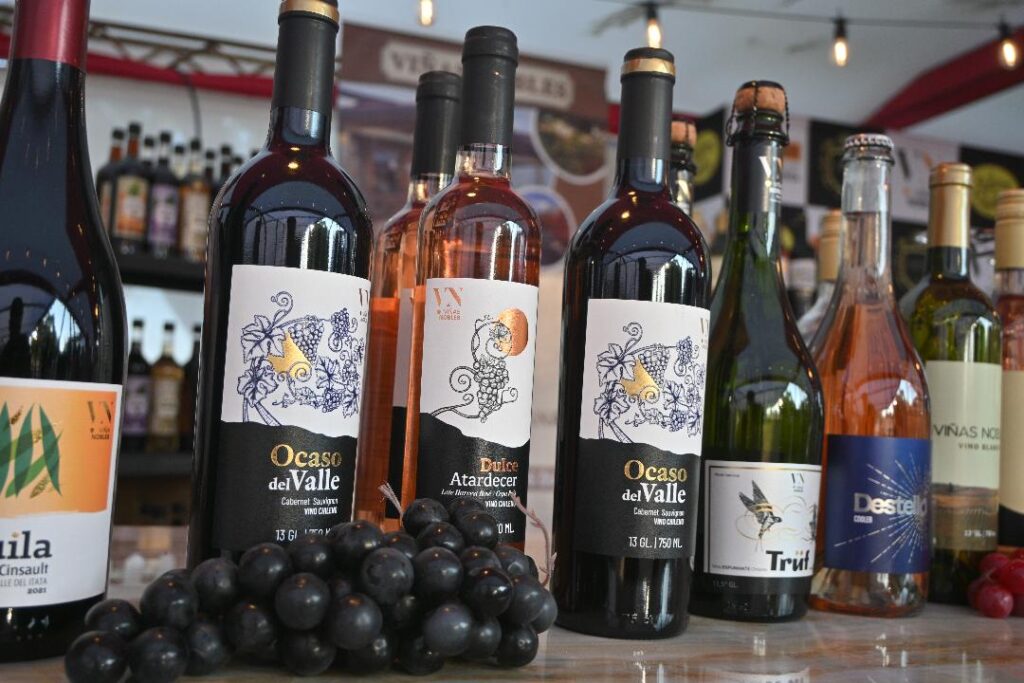 Concurso del Vino de Quillón 2026 consagra a sus ganadores tras exitosa evaluación de más de 200 muestras