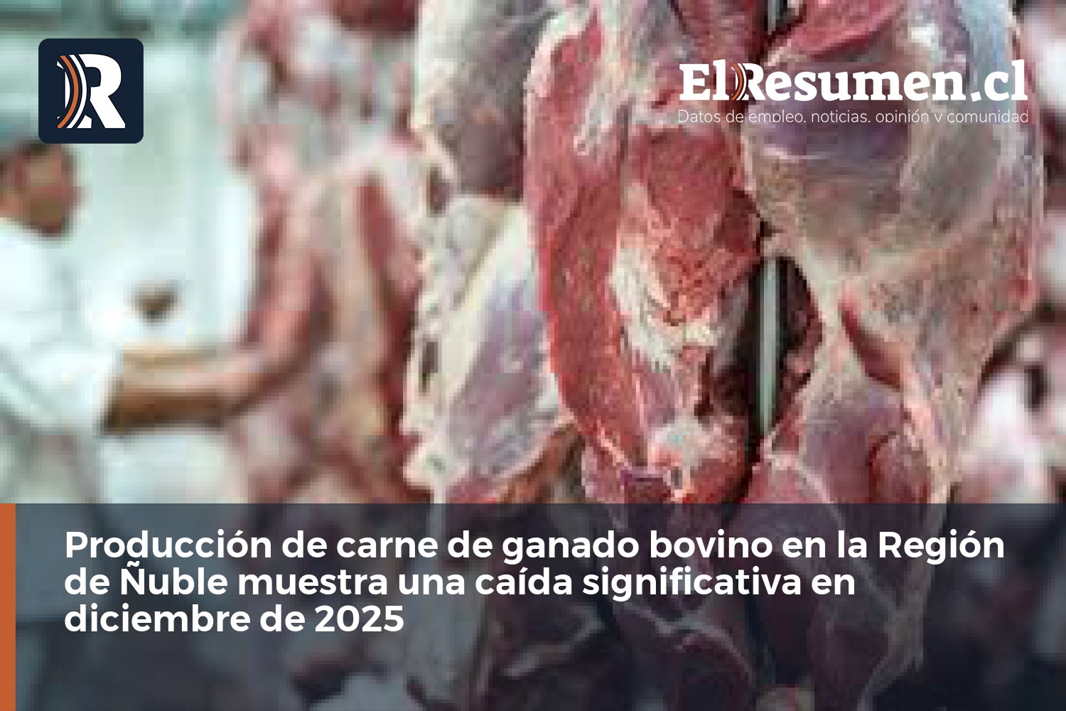 Producción de carne de ganado bovino en la Región de Ñuble muestra una caída significativa en diciembre de 2025