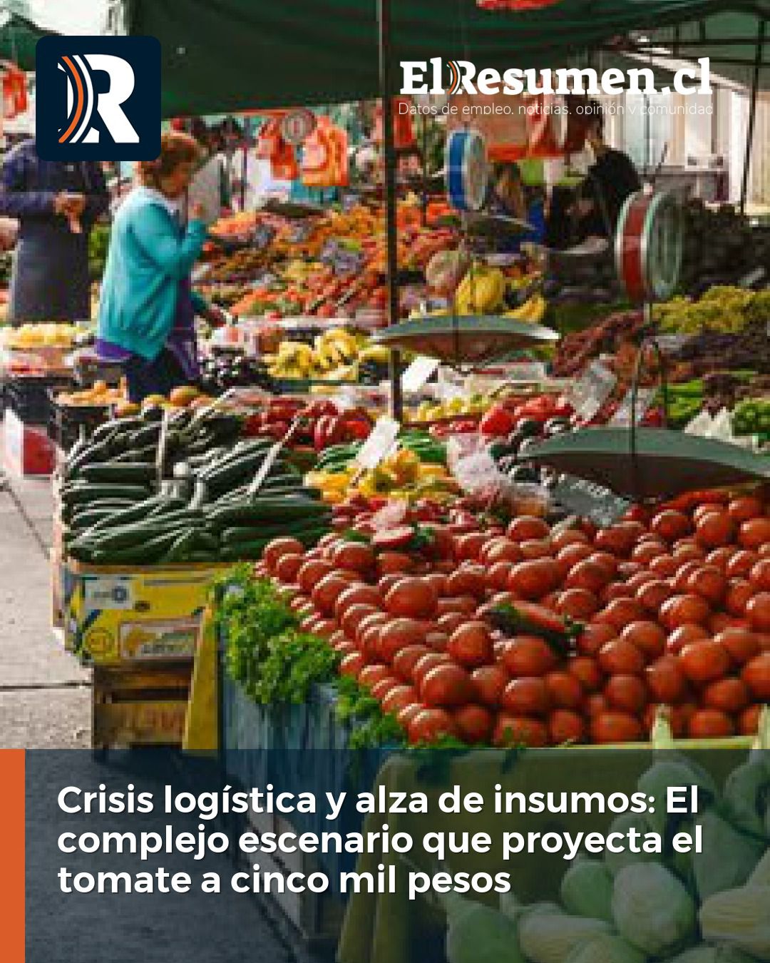 Crisis logística y alza de insumos: El complejo escenario que proyecta el tomate a cinco mil pesos
