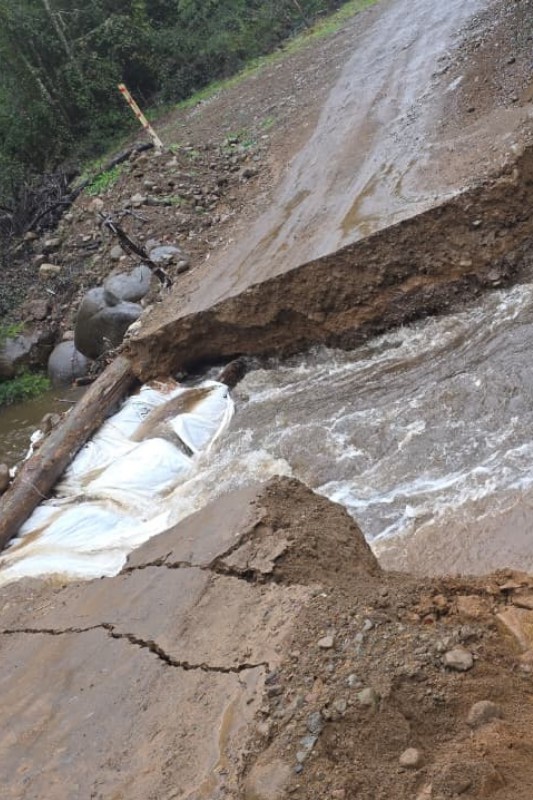 Colapso del puente en El Carmen deja a más de mil vecinos aislados y solicita ayuda a Senapred: afectación severa por el sistema frontal