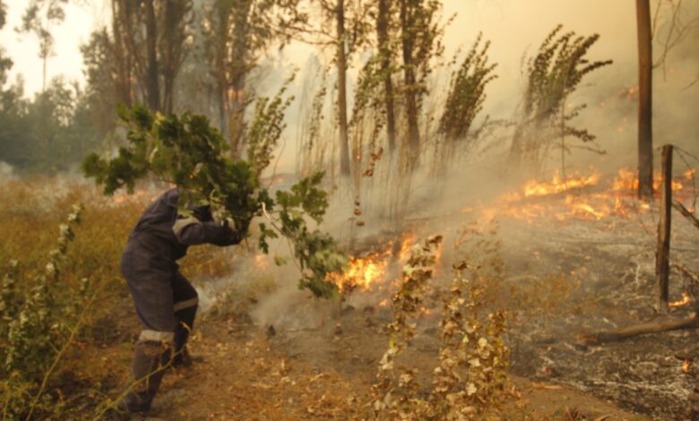 SENAPRED cancela Alerta Roja en Ñuble tras controlar los incendios forestales