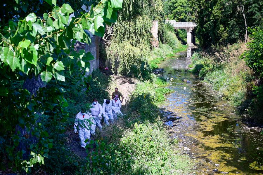 Operativo en Puente de Avenida Argentina en Chillán resulta en detención y retiro de más de cinco toneladas de desechos