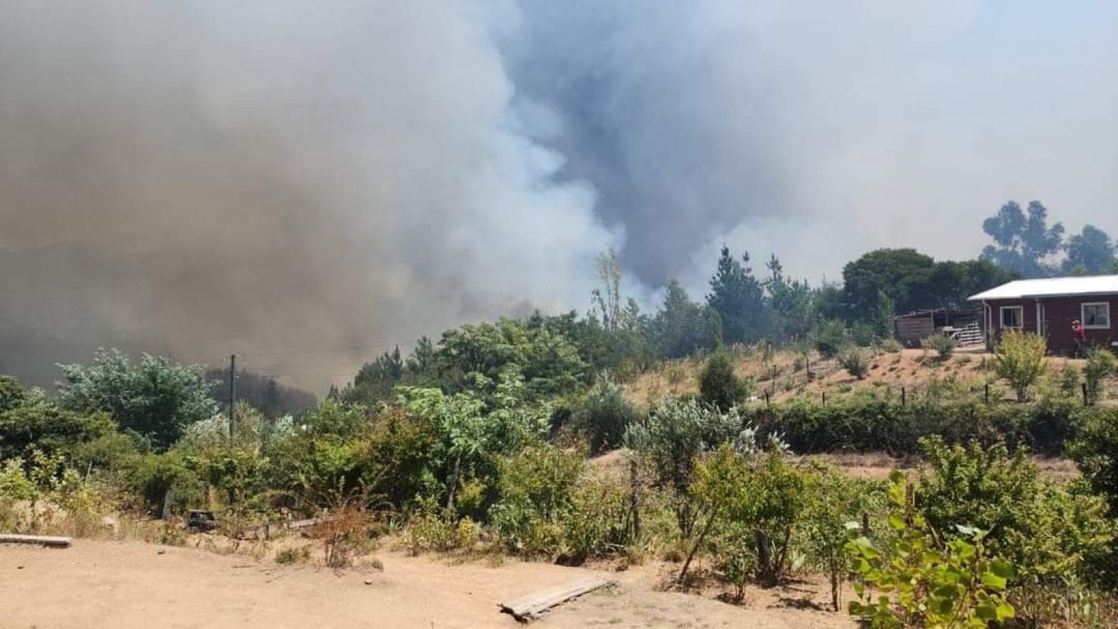 Minvu confirma catastración completa de viviendas afectadas por incendios en Ñuble, beneficiando a 321 familias