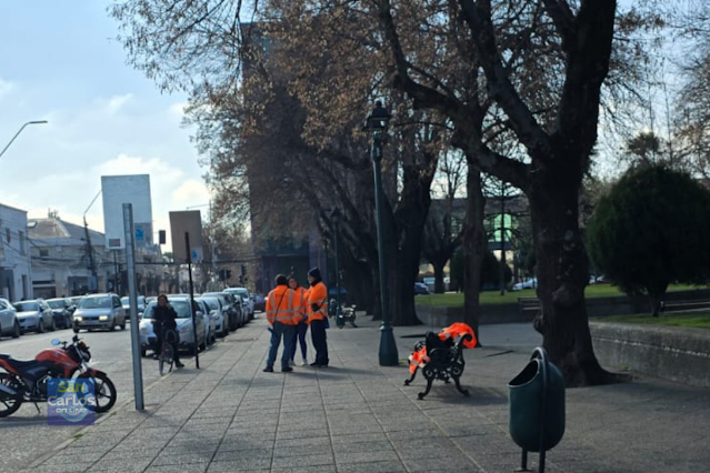 Municipalidad de San Carlos condenada a pagar más de $20 millones por deuda de parquímetros