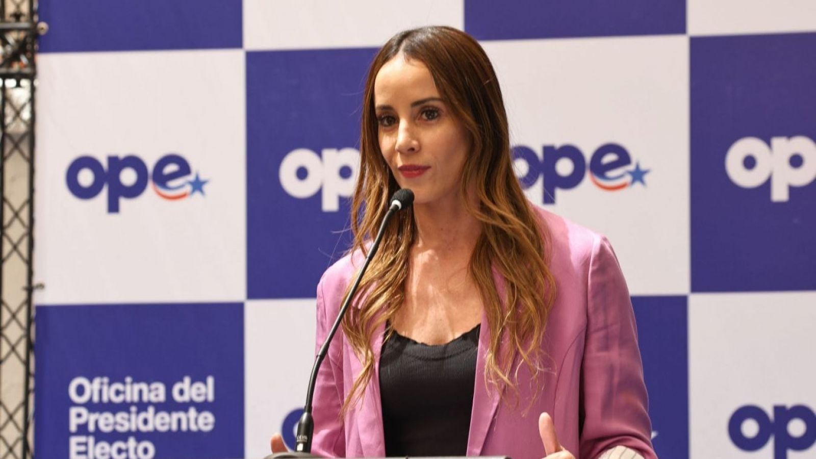 Mara Sedini advierte sobre la importancia de un análisis exhaustivo del proyecto de Sala Cuna Universal