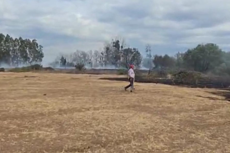 Incendio forestal en Bulli Estación, genera preocupación ya que estaria cerca de viviendas