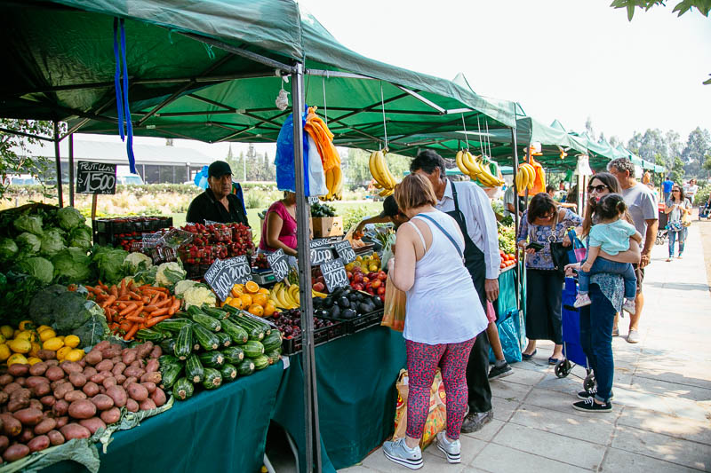 Crisis logística y alza de insumos: El complejo escenario que proyecta el tomate a cinco mil pesos