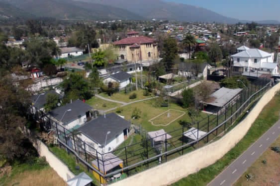 Debate sobre criterios humanitarios y políticas de cumplimiento de condena: El escenario de los reos terminales en 2026