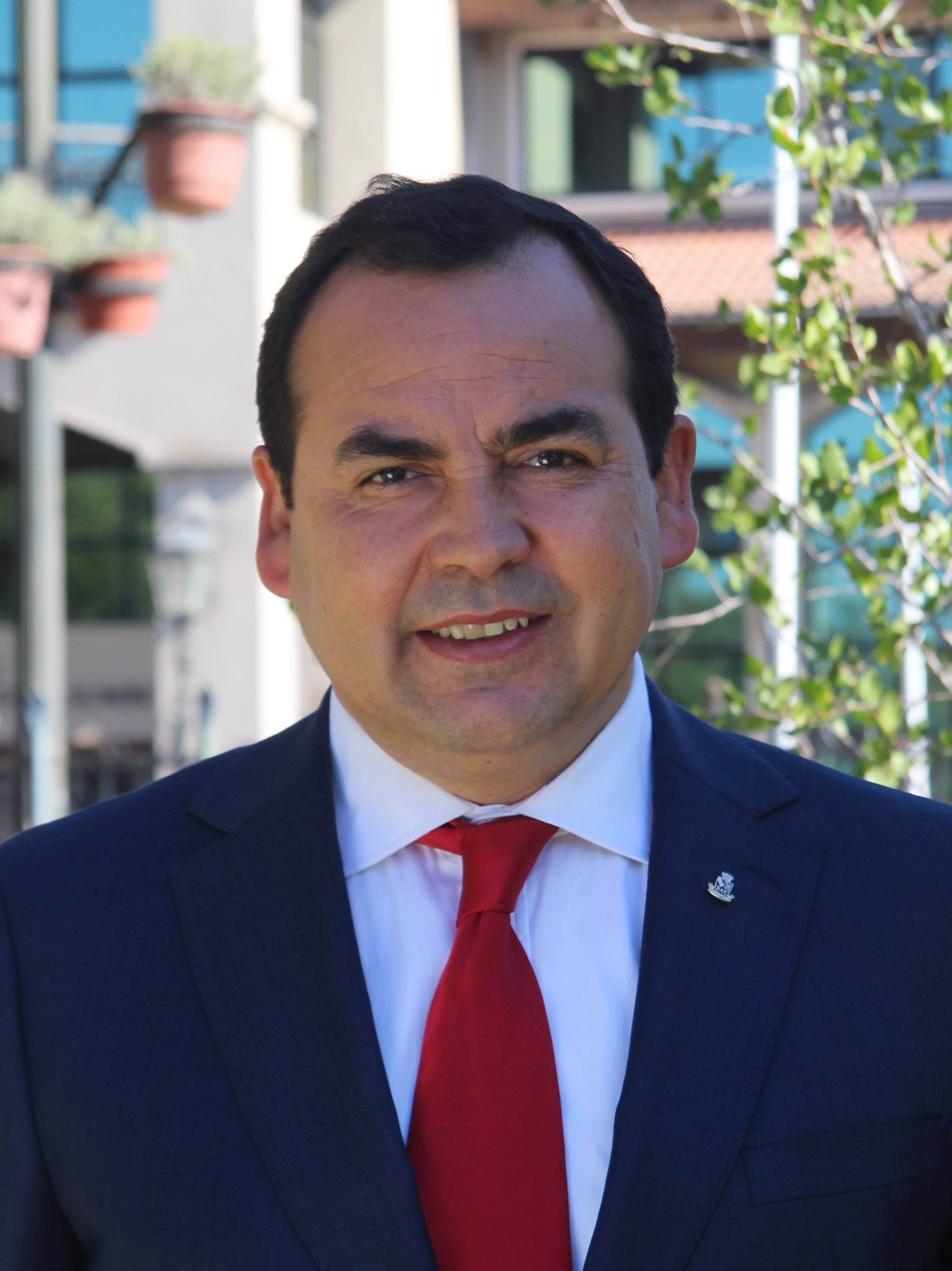 Imagen desde URL